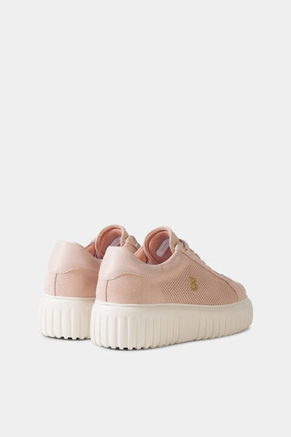 Platform Sneaker Singapore In Ros¨¦