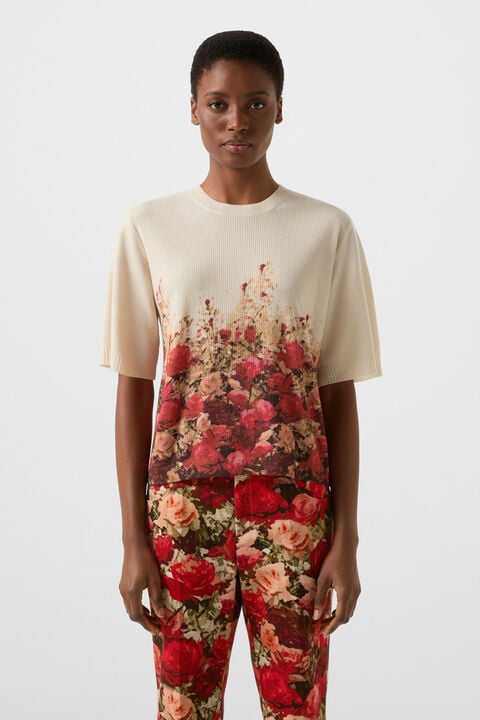 Knitted Shirt Helly In Sand/Red